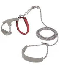 Plush Cat Harness & Leash Set view 8