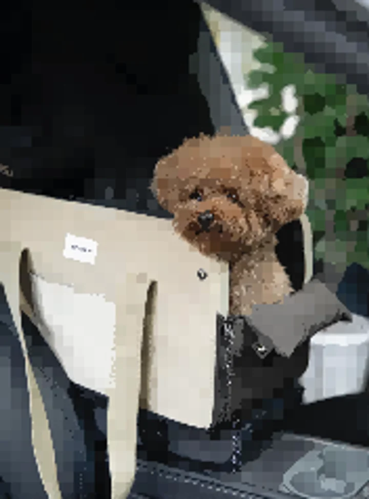 Pet Armrest Car Carrier view 2